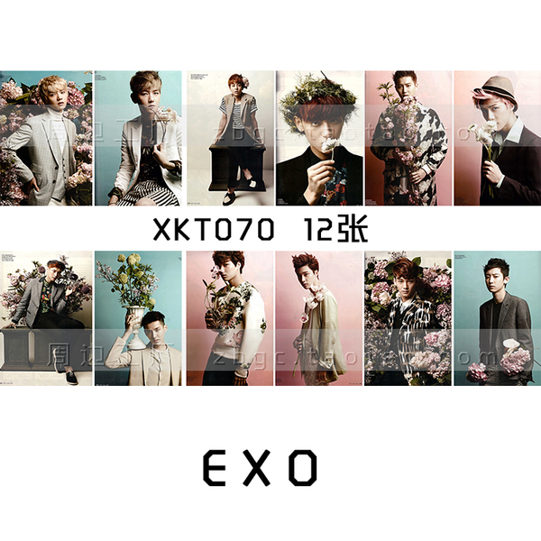 exo xoxo wolf growl 集体 饭卡贴 水晶卡贴 周边12张