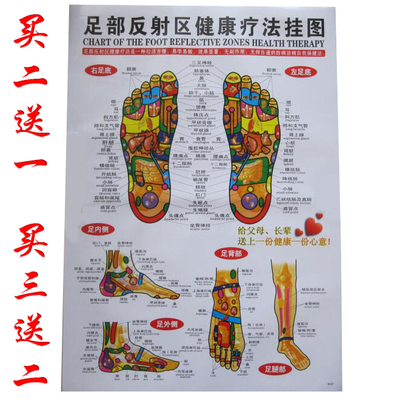 正版高清人体经络穴位图足部反射区挂图足底按摩标准穴位中医针灸