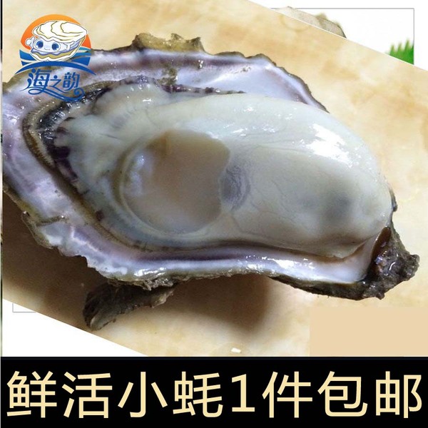 乳山牡蛎新鲜海蛎子肉 鲜活生蚝 海鲜水产品批发5斤装