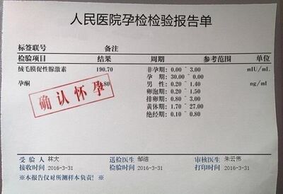 孕检报告单图片制作