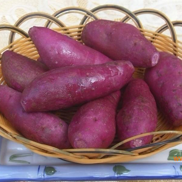 自家新鲜生紫薯 地瓜山芋(1.5kg)