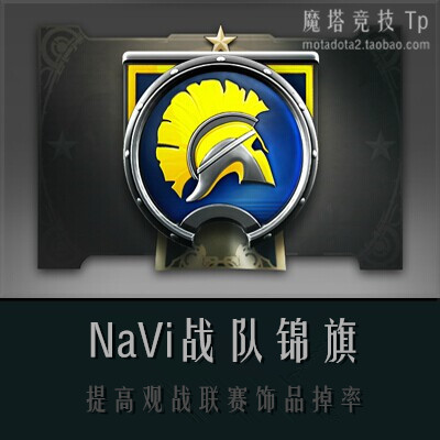 dota2 navi战旗 / nv战队 / navi战队锦旗 / 旗子 / 粉丝栏物品