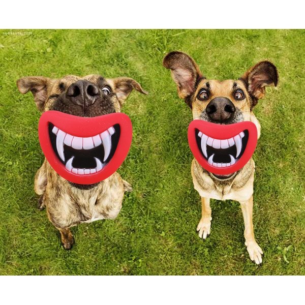 new durable safe funny squeak dog toys devil"s lip sound dog