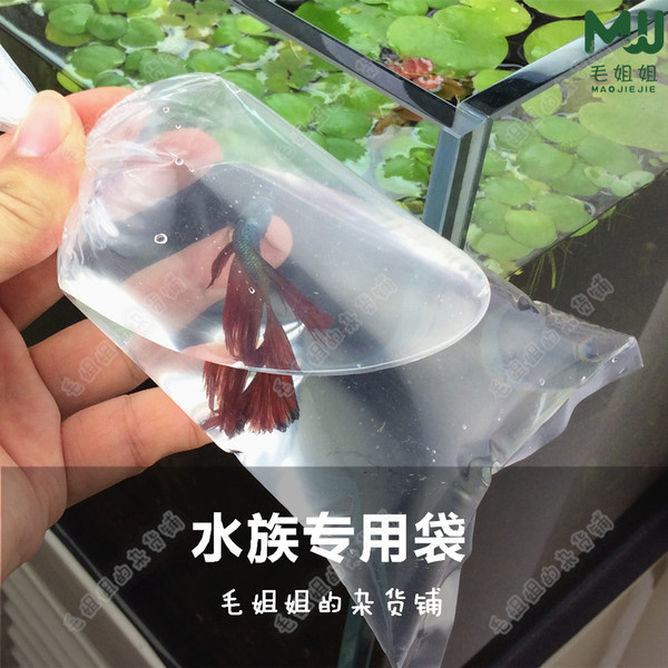 水族鱼虾活体运输袋 运输活鱼 塑料装鱼袋 加厚 平底袋