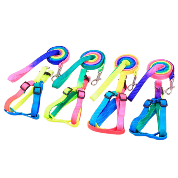 1set rainbow color pet small dog puppy collar leash soft wal