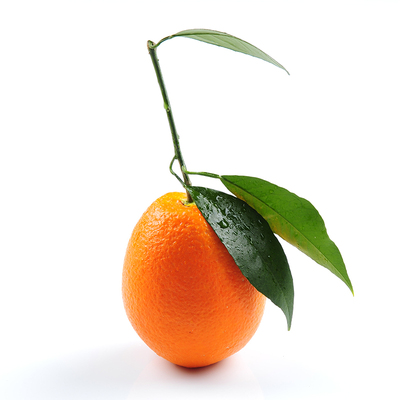 橙子 纽荷尔脐橙 秭归脐橙榨汁橙水分足5斤精