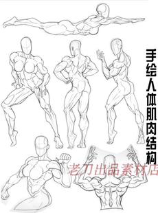 86张人体肌肉结构手绘线稿集 绘画素描速写漫画练习线稿素材