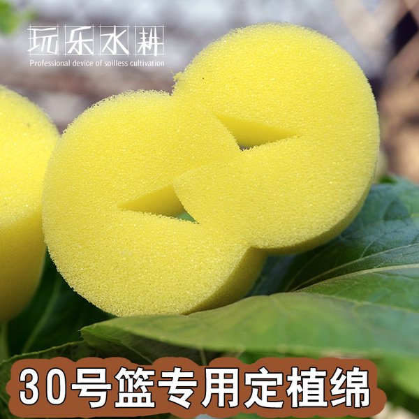 30号篮专用定植绵无土栽培水耕定植海绵水培定植海棉叶菜育苗海绵