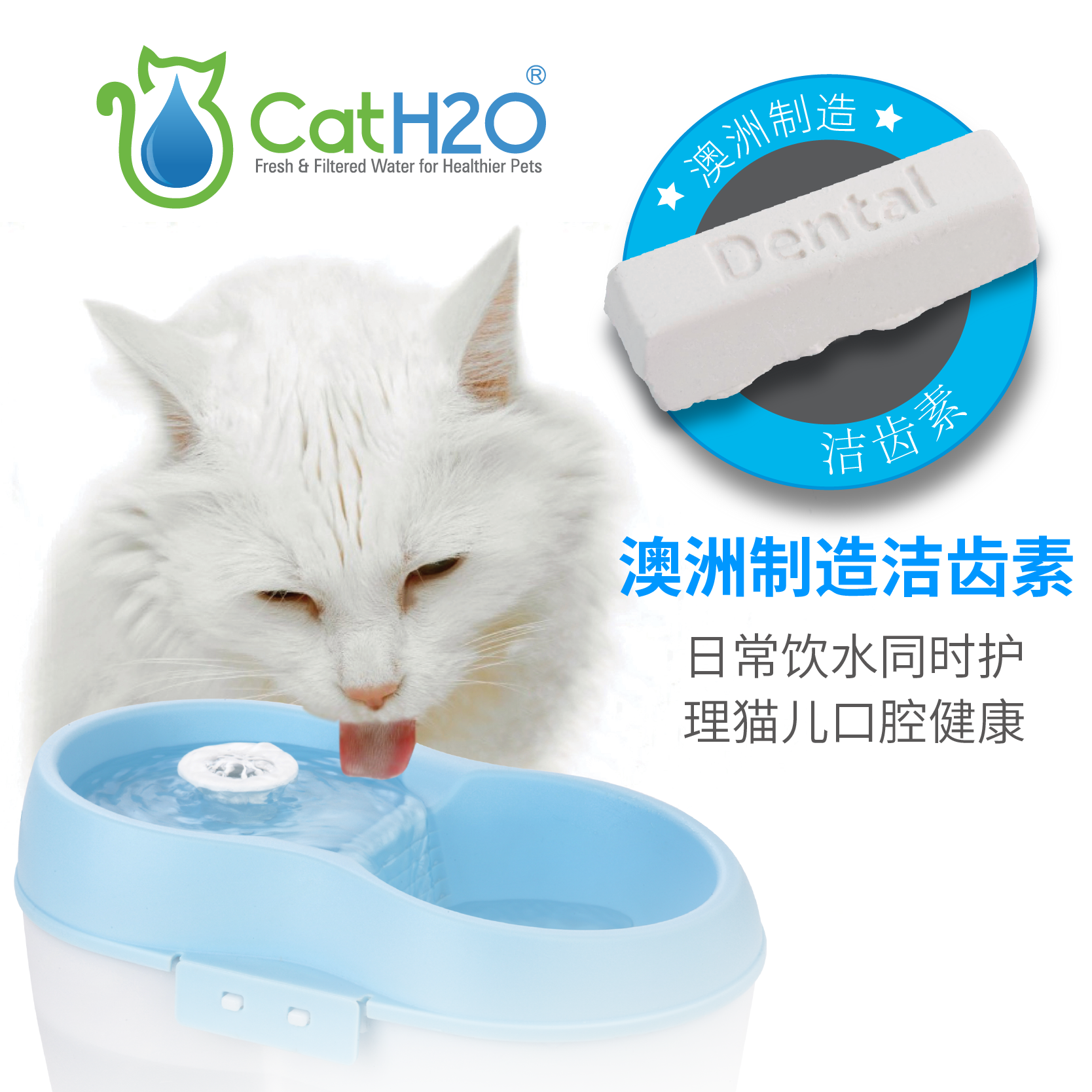 Meow Spring Wang Zhiquan Tooth Cleaning Hormone Tooth Protection Oral Care Cleaning Teeth Tooth Protection Gum Improvement Bad Breath Calcium Supplement