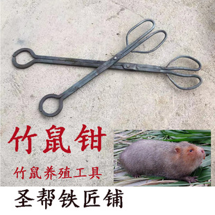 forging bamboo rat clip awn rat clip breeding supplies animal husbandry supplies bamboo rat pliers anti bite catching tool