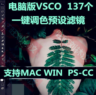 ԭ��VSCOȫ�˾�תPS������԰�3D LUTһ����ɫ����ģ��137��Ԥ��