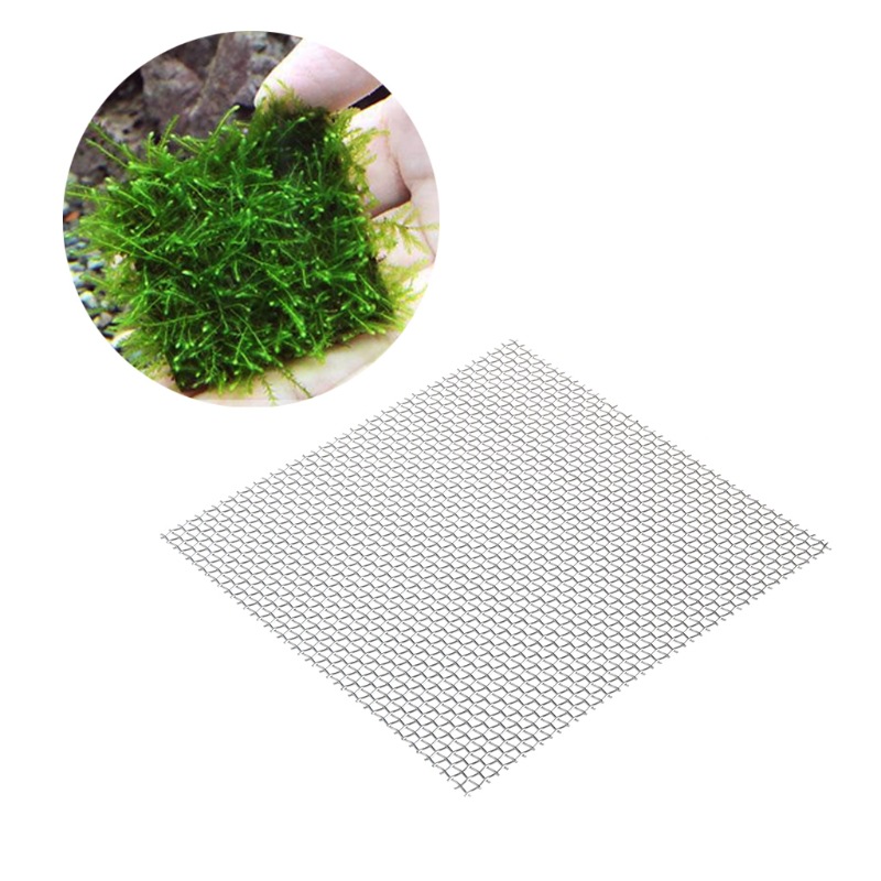 Stainless Steel Mousse Mesh Plate Tied Moss Water Plants Mousse Series Moss Tied Water Plants Planting Mesh Plate