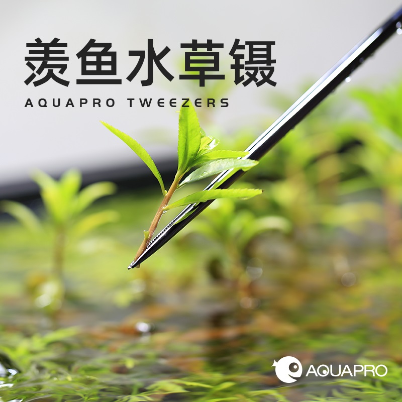 Xianyu AquaPro Stainless Steel Tweezers Water Plants Lengthened Grass Tank Mirror Fish Tank Landscape Clip Pruning Tool Holder