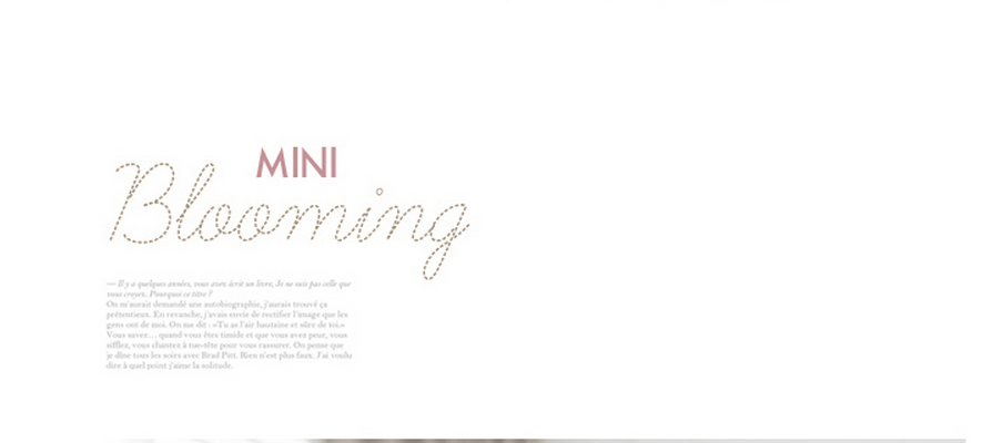 Accessoire cheveux - Ref 1202451 Image 14