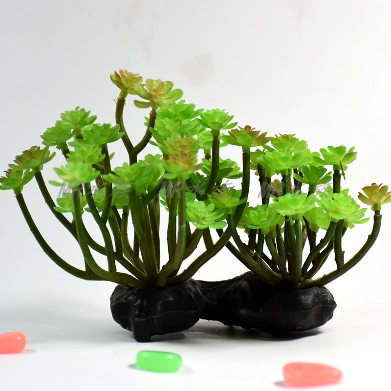 New Fish Tank Simulation Aquatic Plants Succulent Plant Micro Landscape Bonsai Landscape Imitative Tree Plastic Fake Grass Free Shipping