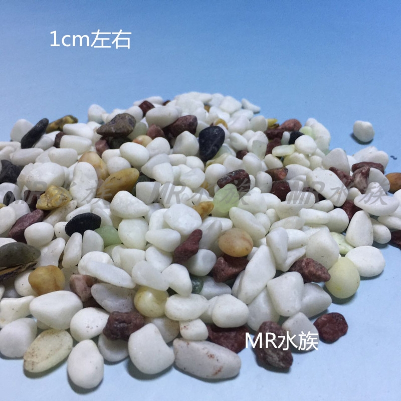 Fish Tank Fish Tank Sand Riverstones Aquarium Natural Landscape Sand Turtle Jar Base Material Stone Setting Sand Stone Ornamental Stone