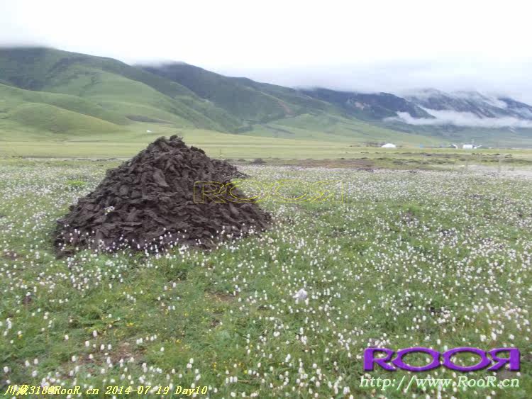 Gants pour vélo - Ref 2247996 Image 261