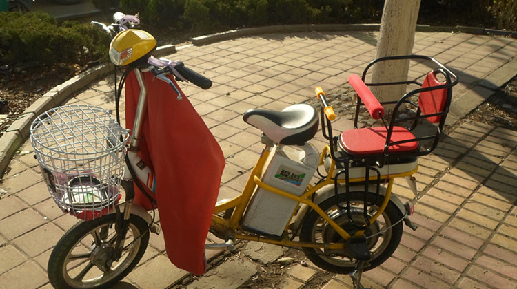 siège enfants pour vélo - Ref 2441050 Image 13