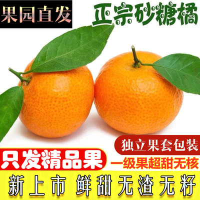 标题优化:广西正宗砂糖橘新鲜10斤水果当季现摘无核沙糖桔子5超甜整箱包邮