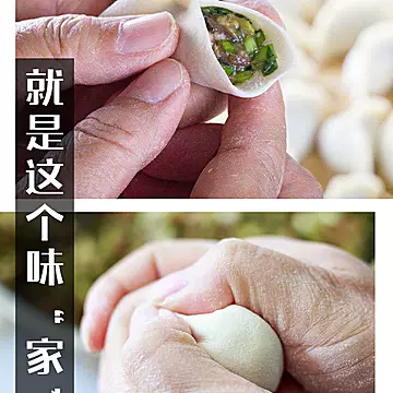 整箱6斤新鲜速冻饺子多种口味手工现包水饺[20元优惠券]-寻折猪