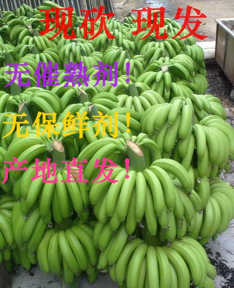 香蕉banana 新鲜水果无催熟剂 广东特产非米蕉粉蕉皇帝蕉 5斤装