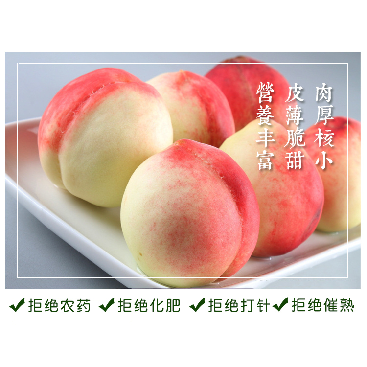 新鲜水蜜桃5斤 新鲜水果桃子孕妇  脆桃水蜜桃毛桃新鲜水果包邮