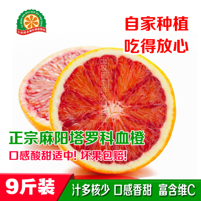 大果血橙当季现摘塔罗科红心肉手剥橙子新鲜孕妇水果包邮带箱10斤