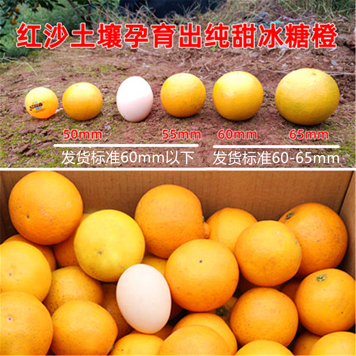 he xiangyou fruit hunan qianyang bingtang orange 10 jin small orange fresh fruit sweet orange small honey orange