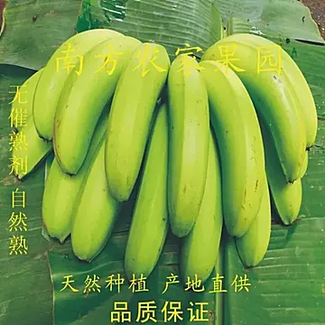 现摘广西香蕉新鲜当季自然熟鲜蕉热带水果[30元优惠券]-寻折猪