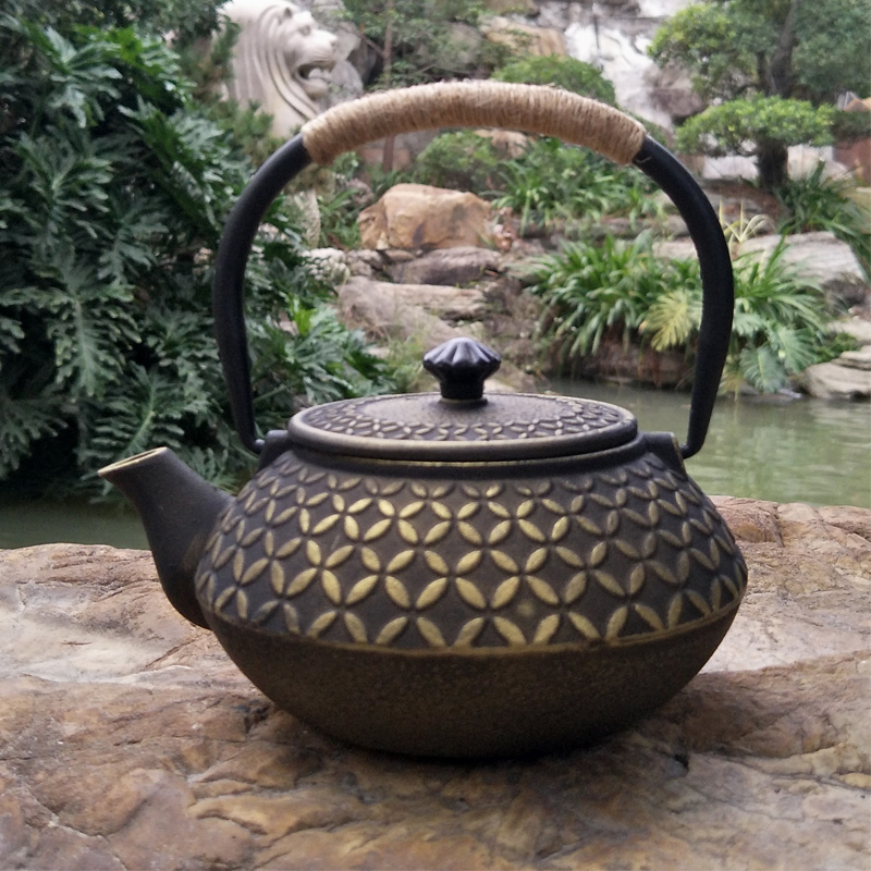 铸铁茶壶复古铁壶日式无涂层铁瓶纯手工烧水壶家用铸铁壶特价茶具