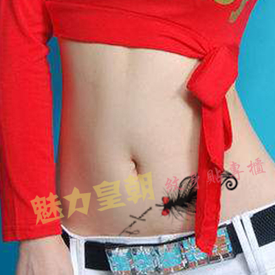 独家手绘防水纹身贴羽毛英文遮疤 小腹腰部胸部脚裸男女款纹身贴-淘宝网