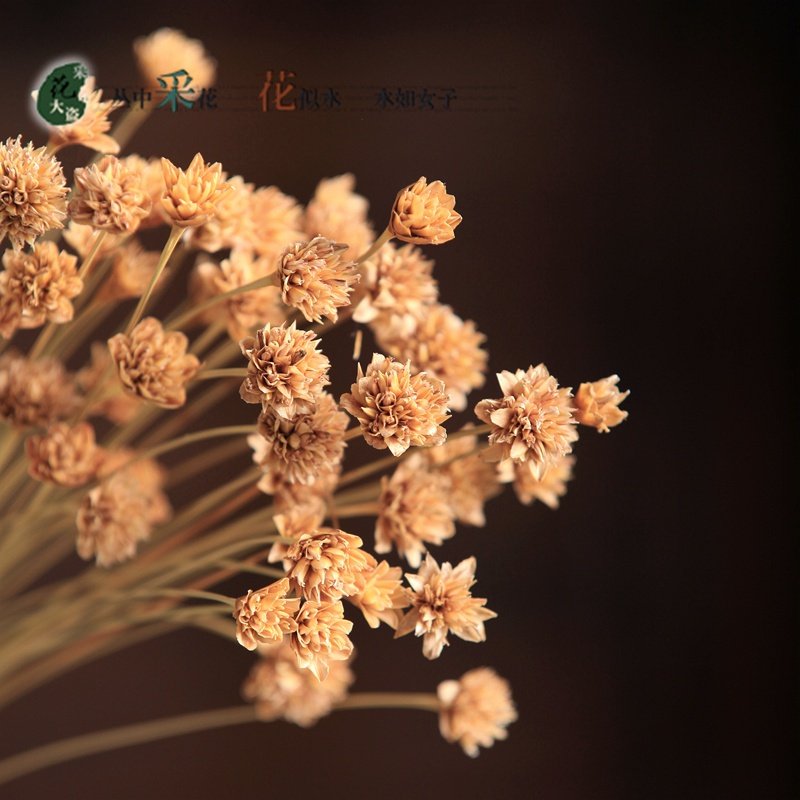 ��(d��)����/С�r�ոɻ������滨��ȻС�ɻ��滨������Ȼ�͏d�P���b�