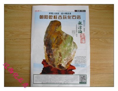 辽西朝阳天然化石木化石树化玉799(观沧海)中