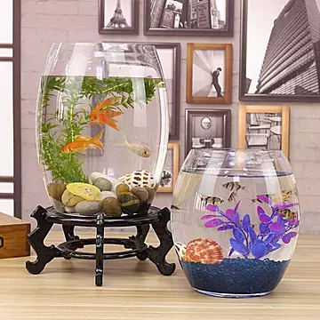 创意桌面鱼缸生态圆形玻璃金鱼缸乌龟缸[20元优惠券]-寻折猪