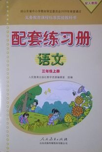 五四制小学三年级下册数学伴你学习单元过关练