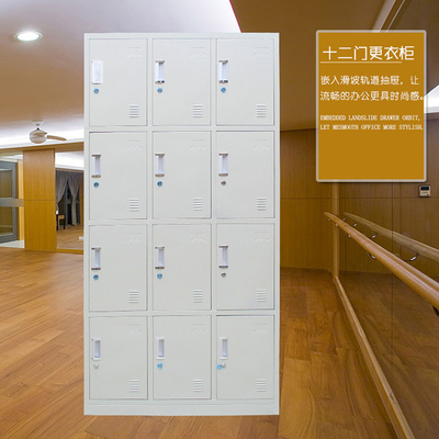 更衣柜员工柜12门多款多门可选铁皮柜钢制寄存储物柜2