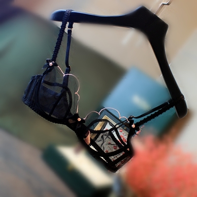 英国内衣奢新款春夏超薄透视花瓣蕾丝性感黑色网纱全透明聚拢文胸-淘宝网 英国内衣奢新款春夏超薄透视花瓣蕾丝性感黑色网纱全透明聚拢文胸-淘宝网