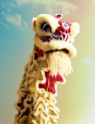 海浪工艺舞狮子正宗醒狮南狮高档羊毛佛山醒狮道具半竹篾狮头