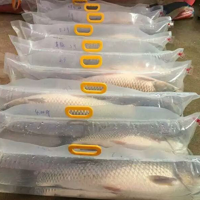 活鱼袋 鸭嘴鱼鲟鱼运输氧气包装袋 送货充氧手提袋礼