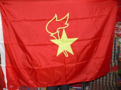 正宗大号90x120cm优质款少先队队旗 国旗 手摇旗 注水旗杆