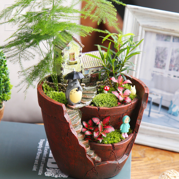 苔藓微景观植物迷你盆栽微景观生态瓶办公桌摆件微缩景观diy盆栽