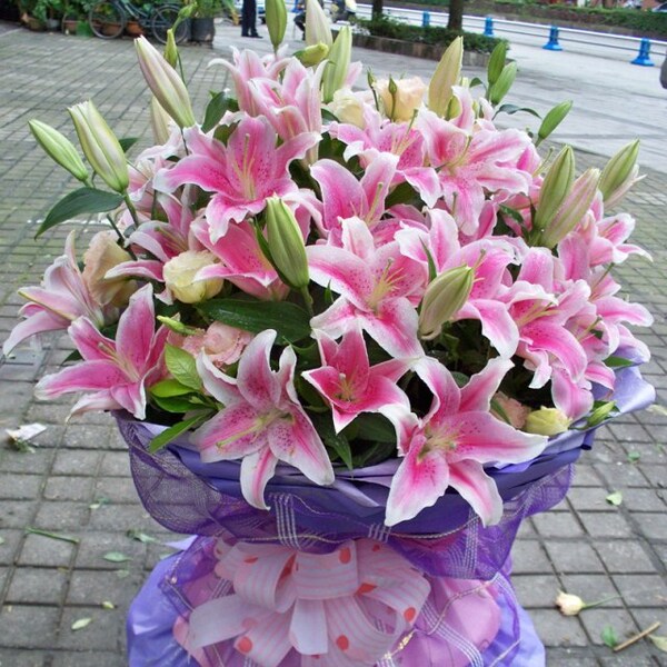 99朵粉百合花束同城鲜花速递成都新都简阳峨眉犀浦郫县送花鲜乐山