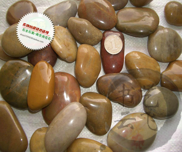 深抛天然南京雨花石/五彩色鹅卵石/铺地五彩石头/装饰绿化园林石