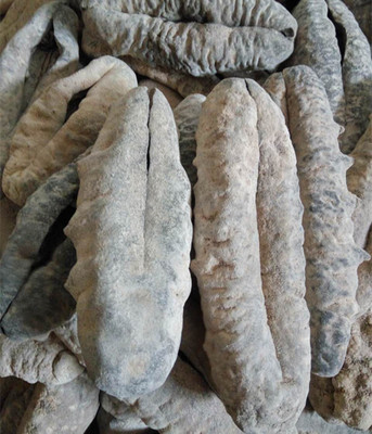 印尼进口 黑猪婆参 猪母参 肉质肥厚 送礼佳品 全国包邮 新鲜淡干