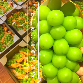 三禾 正品日本空运香印青提 翠玉提子葡萄 xxxl500克次日必达新鲜