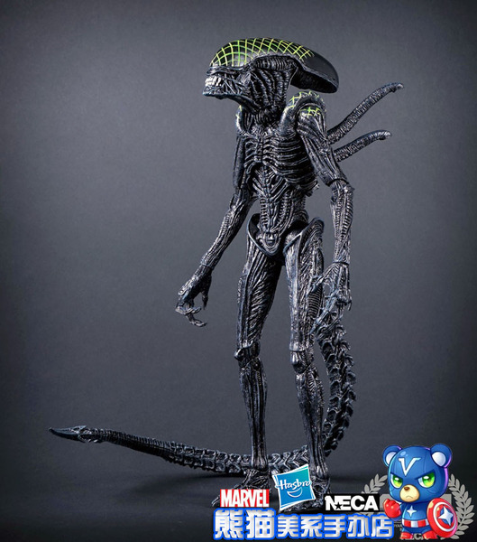 neca 异形大战铁血战士 avp 异型 alien 模型手办玩具