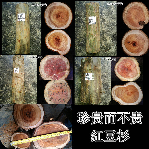 神农架珍品 红豆杉 原木 颈椎克星 雕刻烟缸材料 防绝症雕刻原木