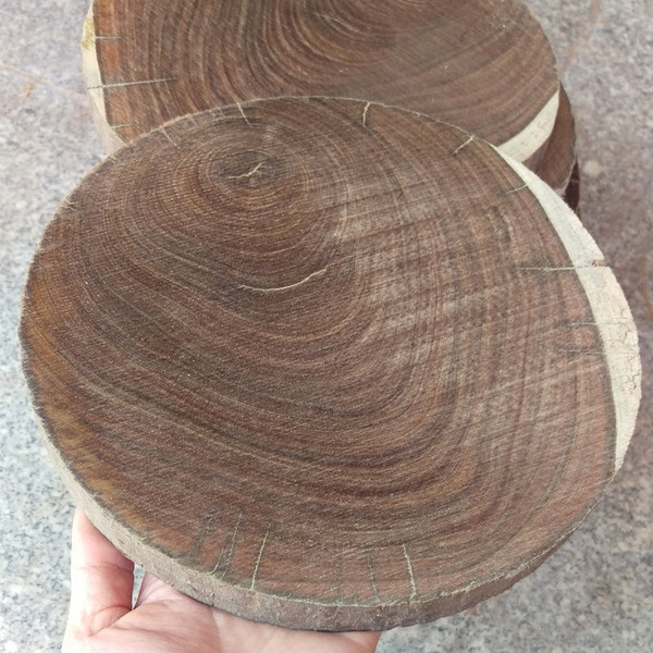 正宗巴拉圭绿檀原木料珠子饼料板材diy佛珠手串珠子料