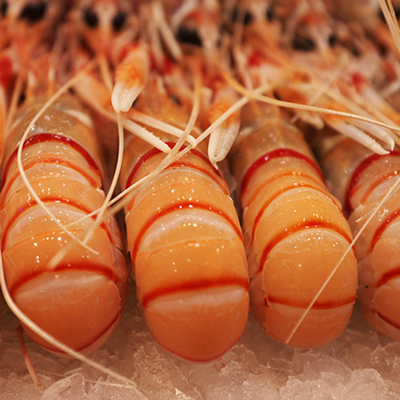 新西兰小龙虾2号 斯干比虾 进口南极深海鳌虾scampi海蜇虾2kg