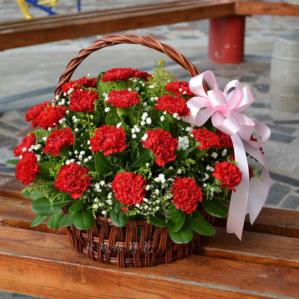 广州康乃馨花束手提花篮教师节荔湾天河花都白云黄埔番禺送花订花